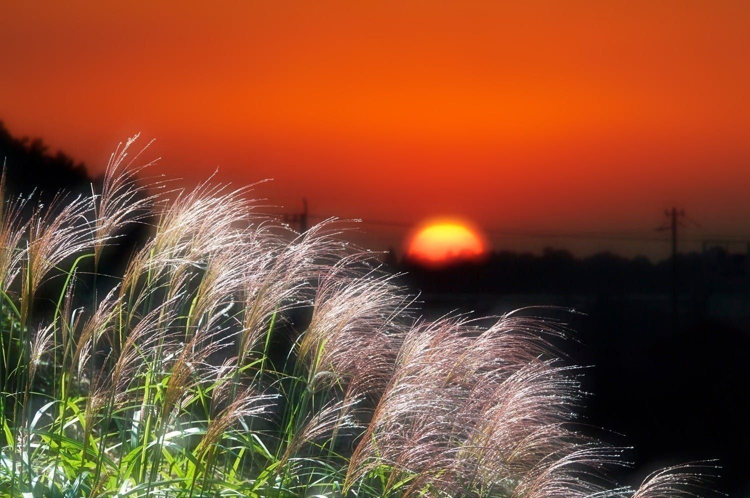 写真家 津熊清嗣 癒しの世界「夢ノ雫」と題した個展を開催したい