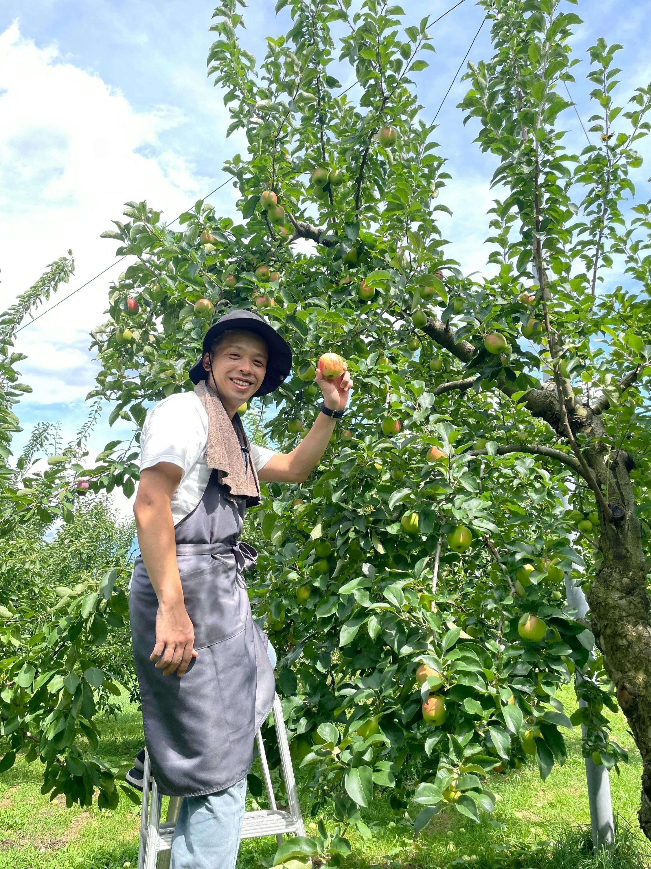 5番目のメイン画像