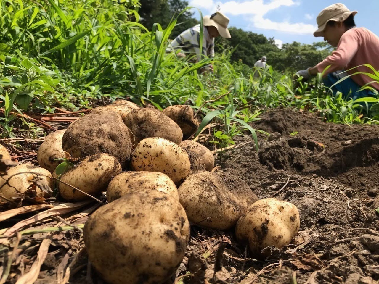 4番目のメイン画像