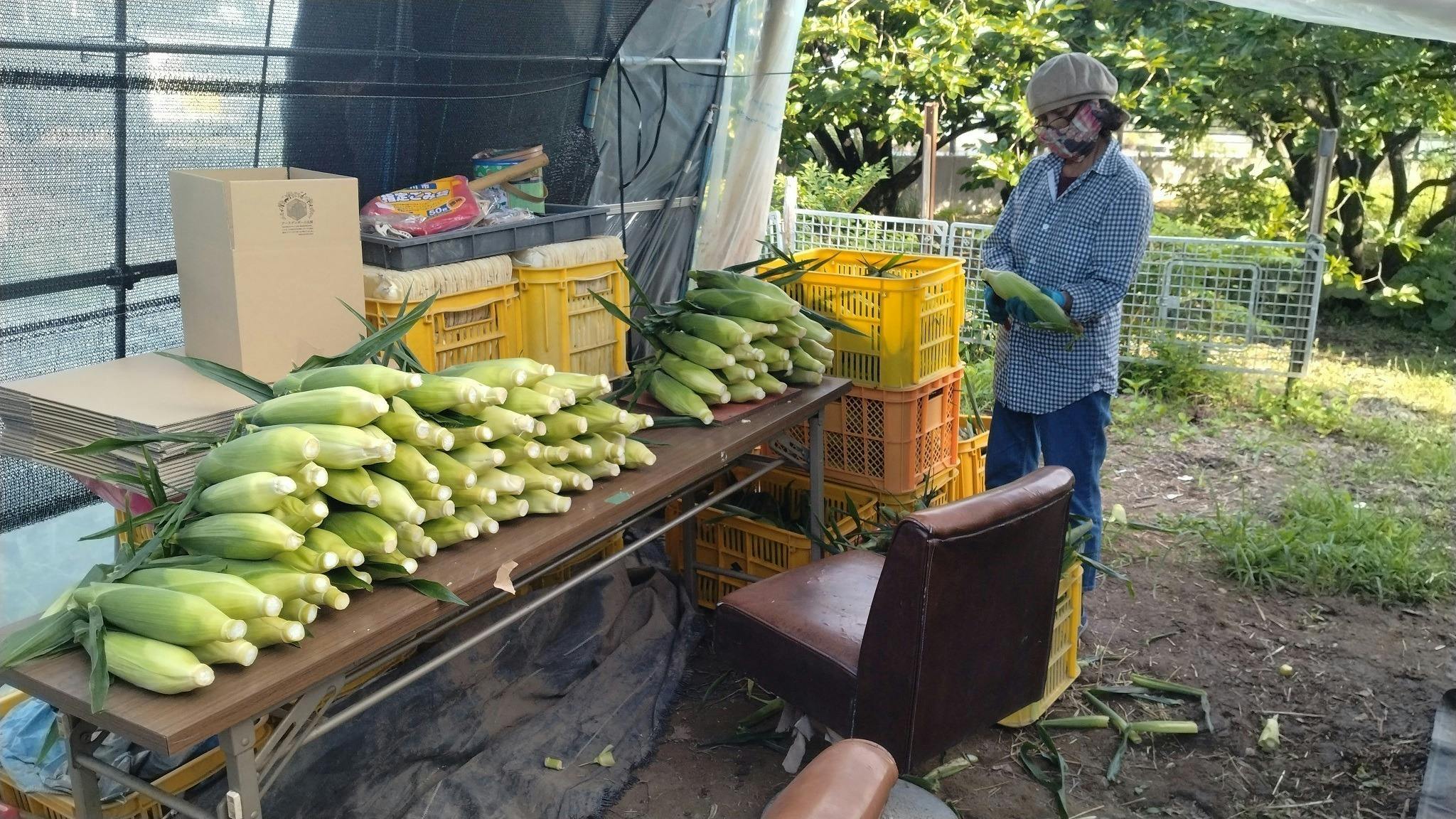 2番目のメイン画像