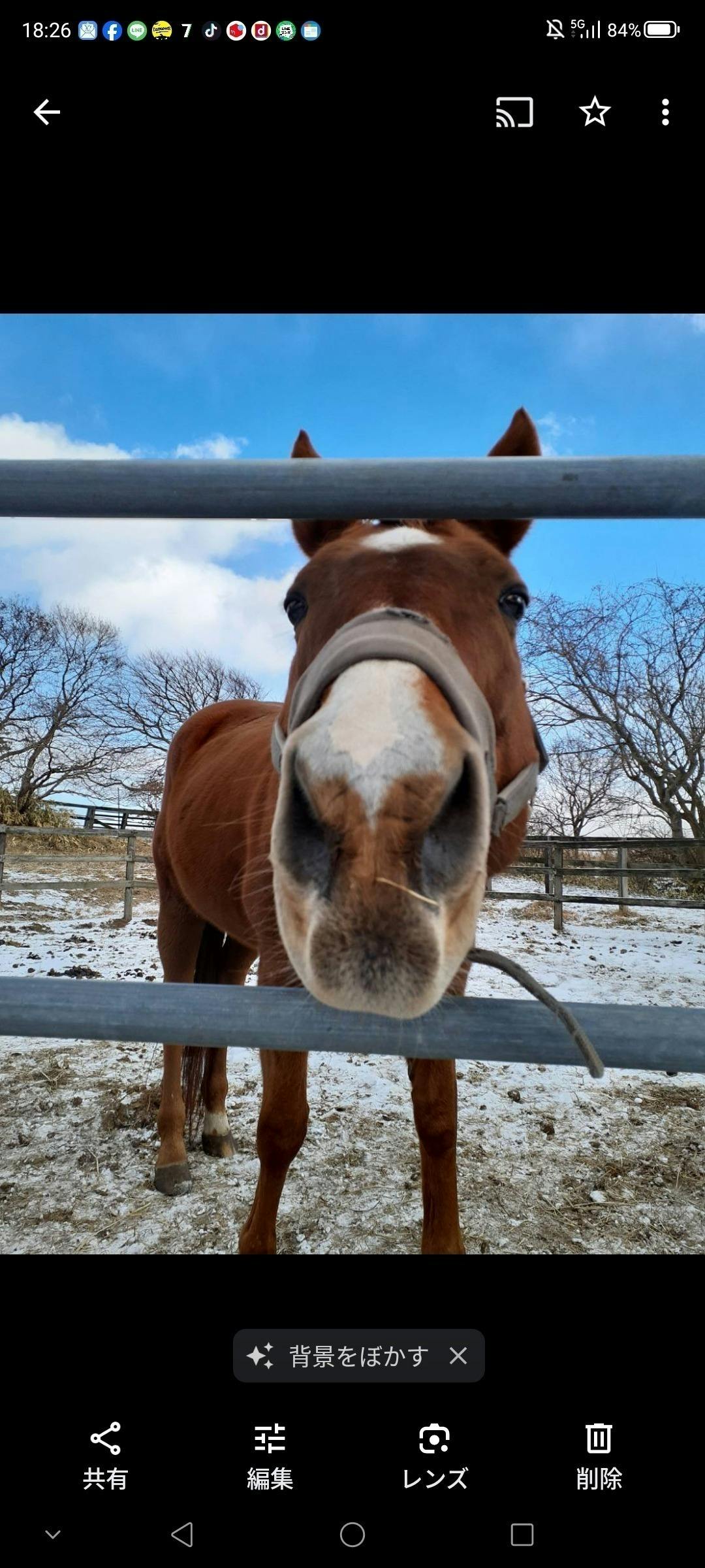 5番目のメイン画像