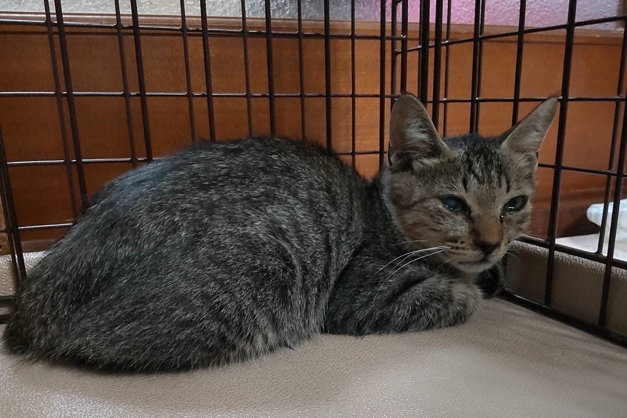 5番目のメイン画像