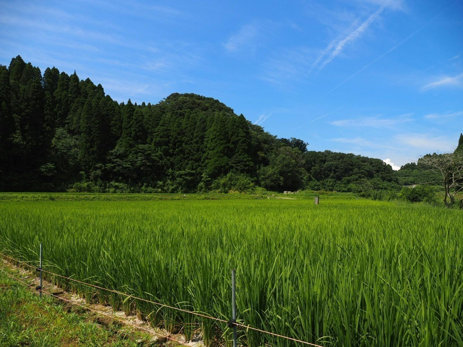 3番目のメイン画像