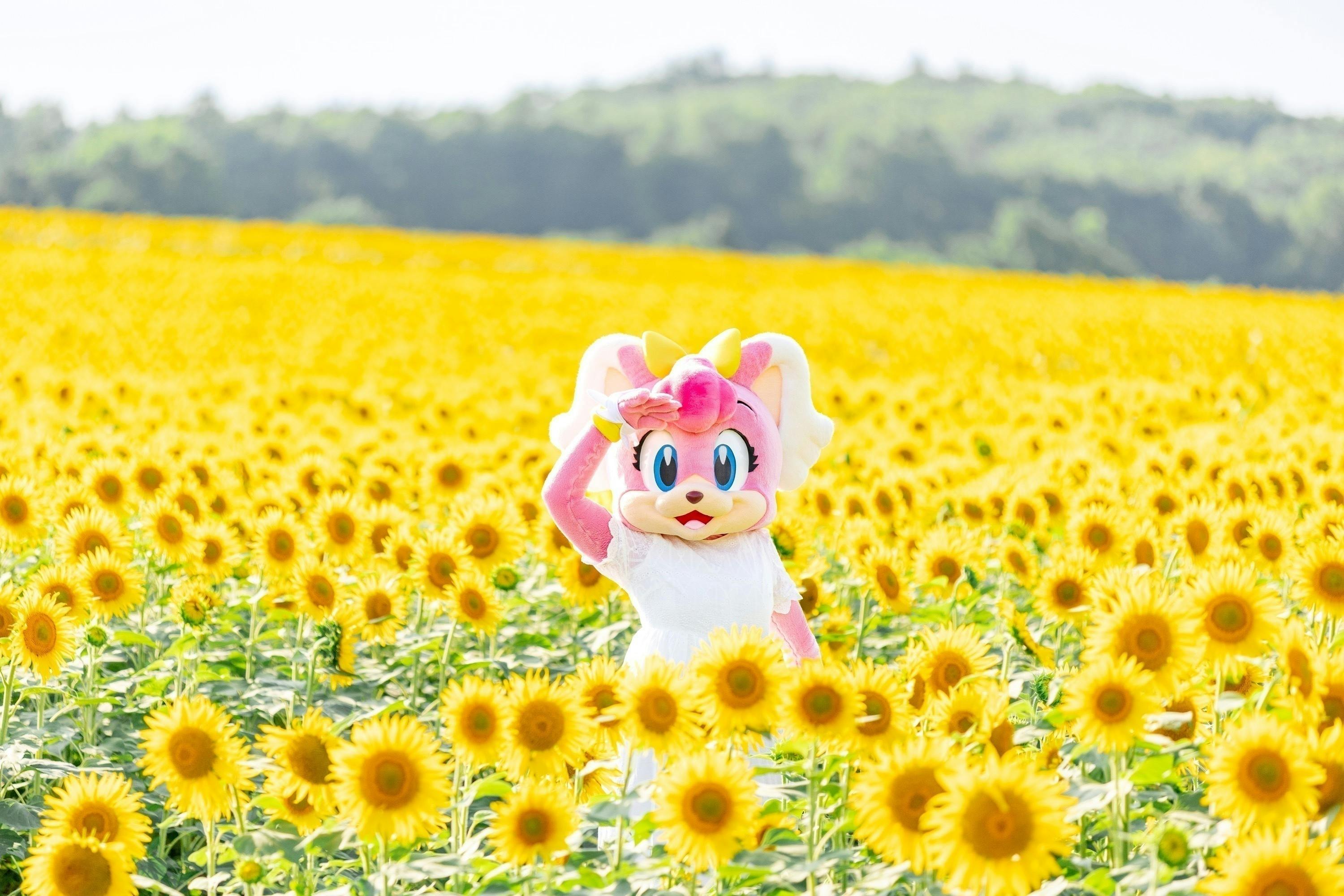 3番目のメイン画像