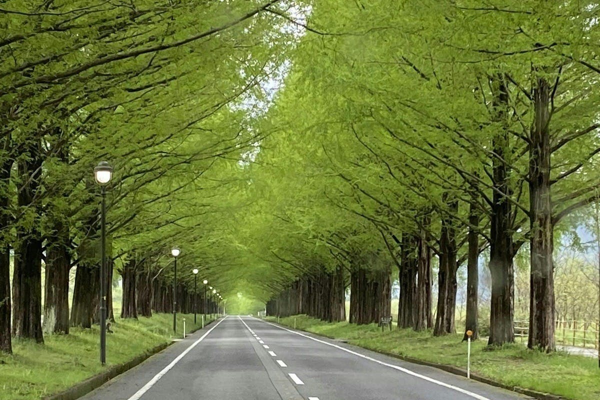 5番目のメイン画像