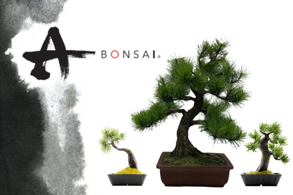 上質の追求】江戸盆栽作法に則ったA-BONSAIとクリアケース金屏風