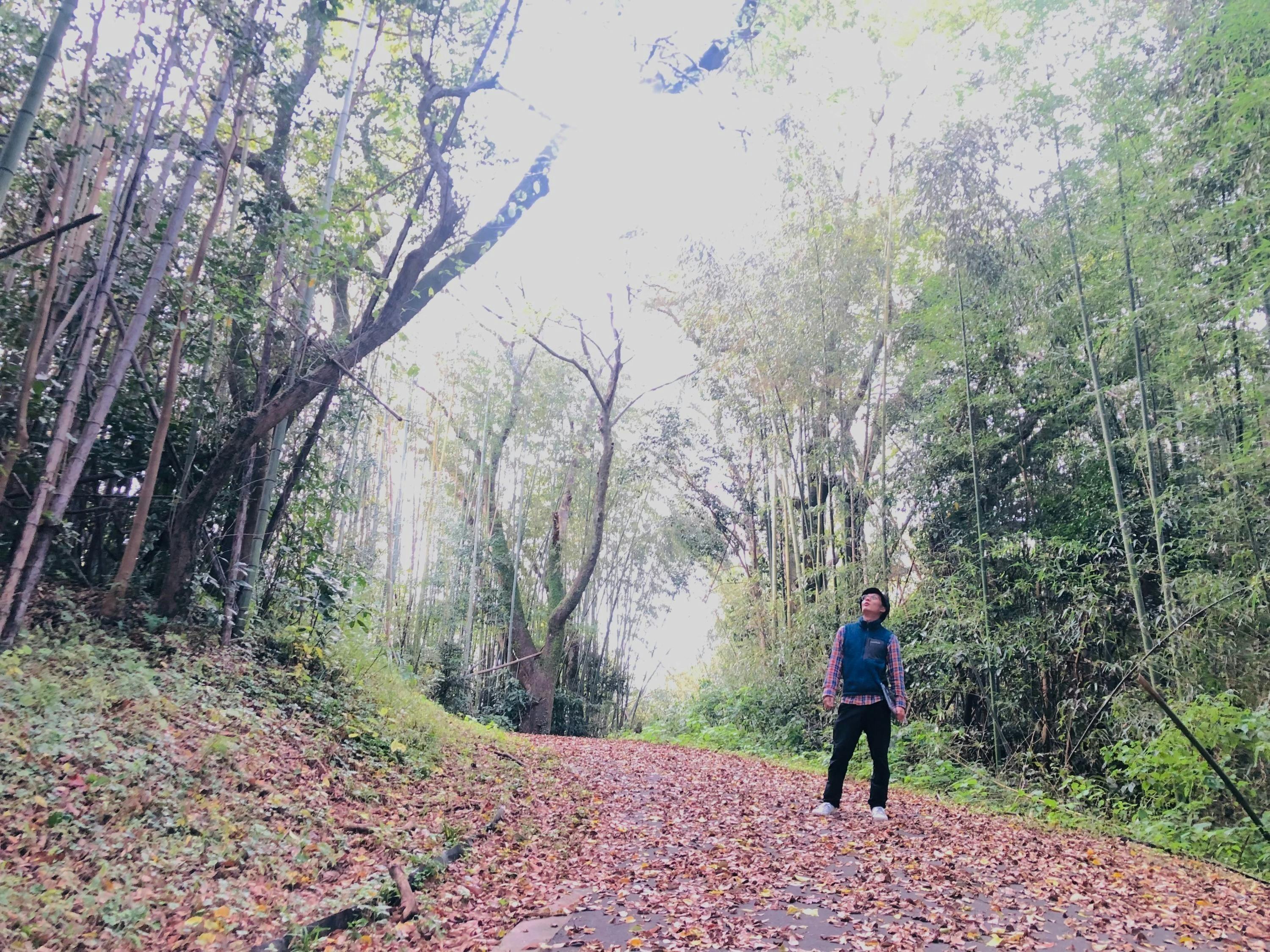 4番目のメイン画像