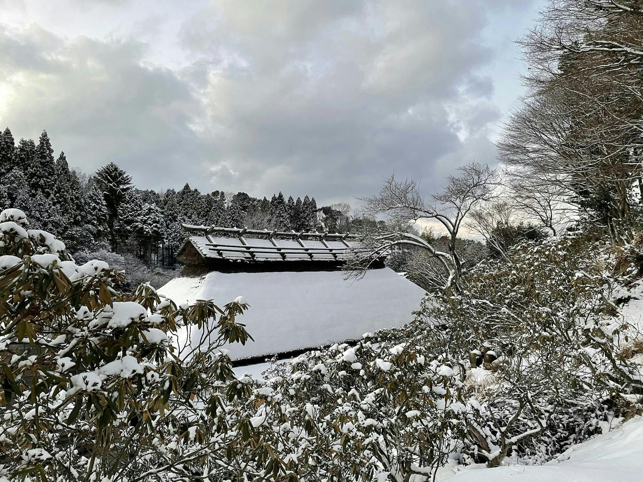 5番目のメイン画像