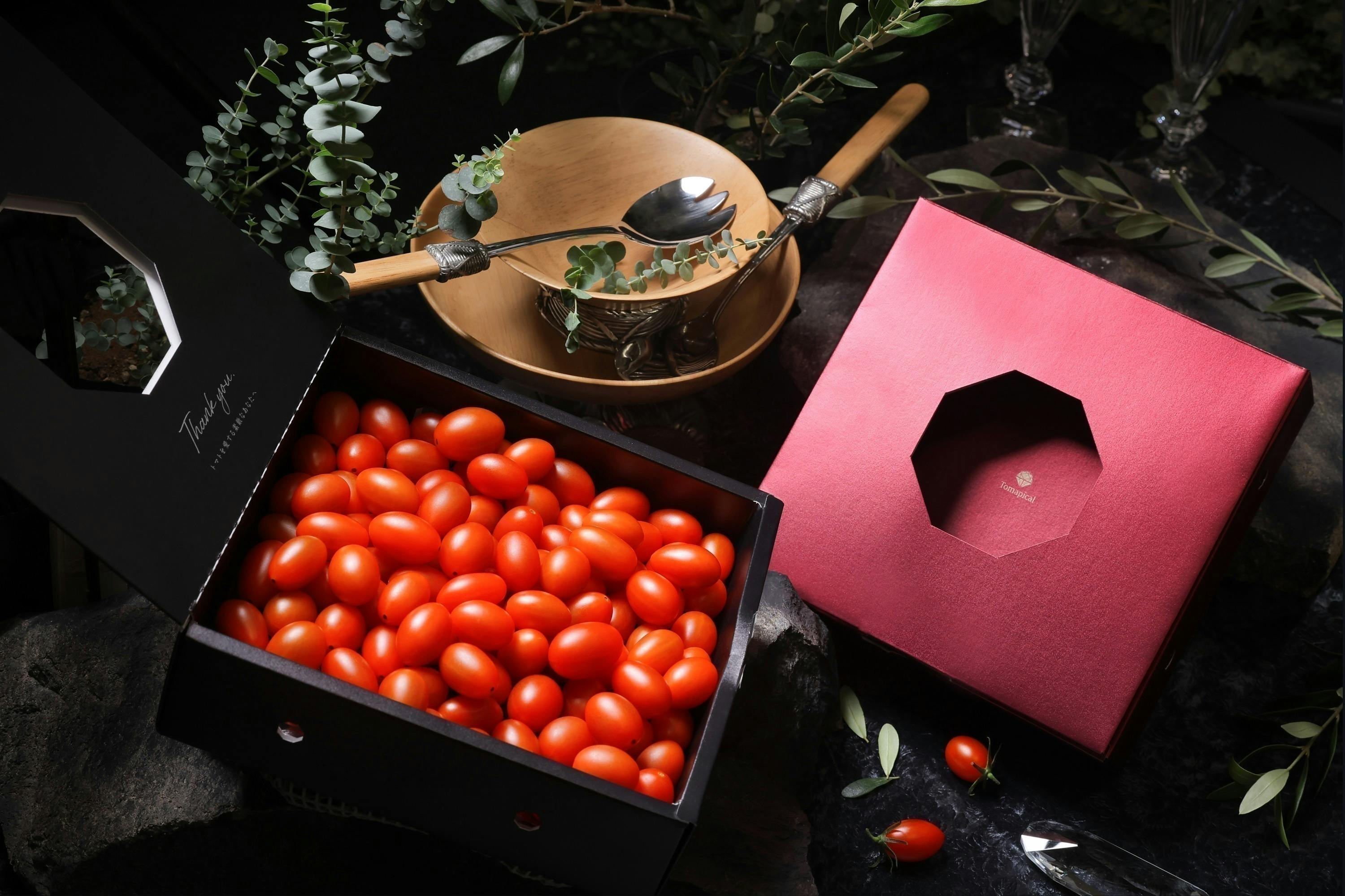 世界に誇る日本の農業を！最上級トマトブランドを創る挑戦／トマピカル