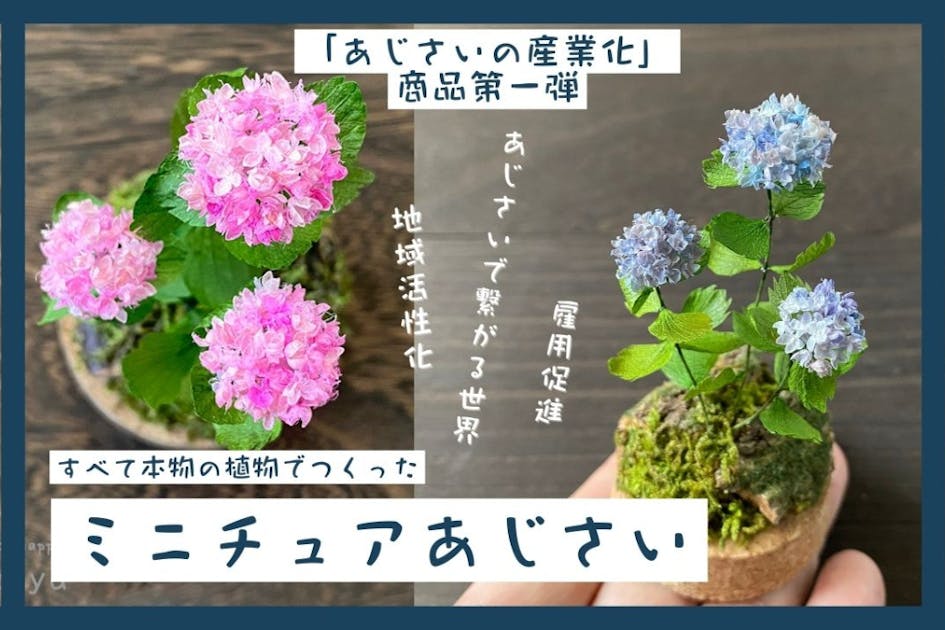 花材　みちのく　あじさいや　新品　12箱　まとめ売り 花材 みちのく あじさいや 新品 12箱 まとめ売り