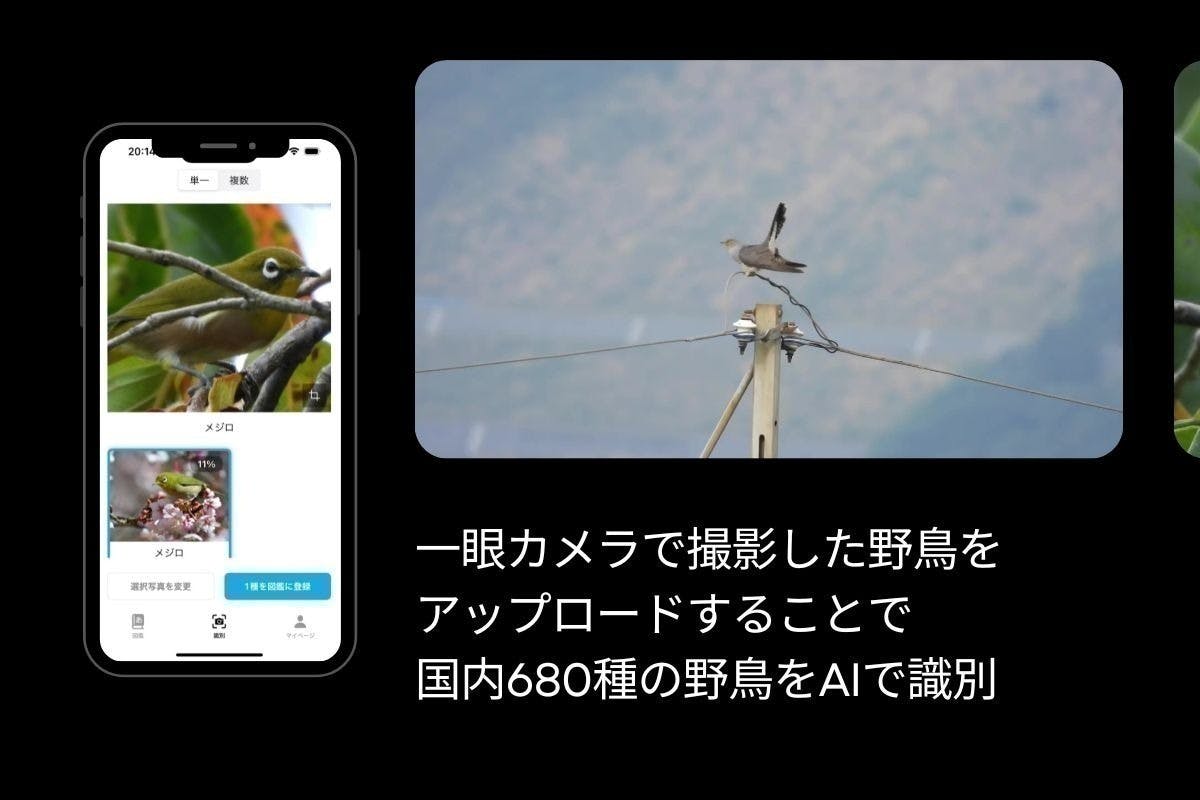 2番目のメイン画像