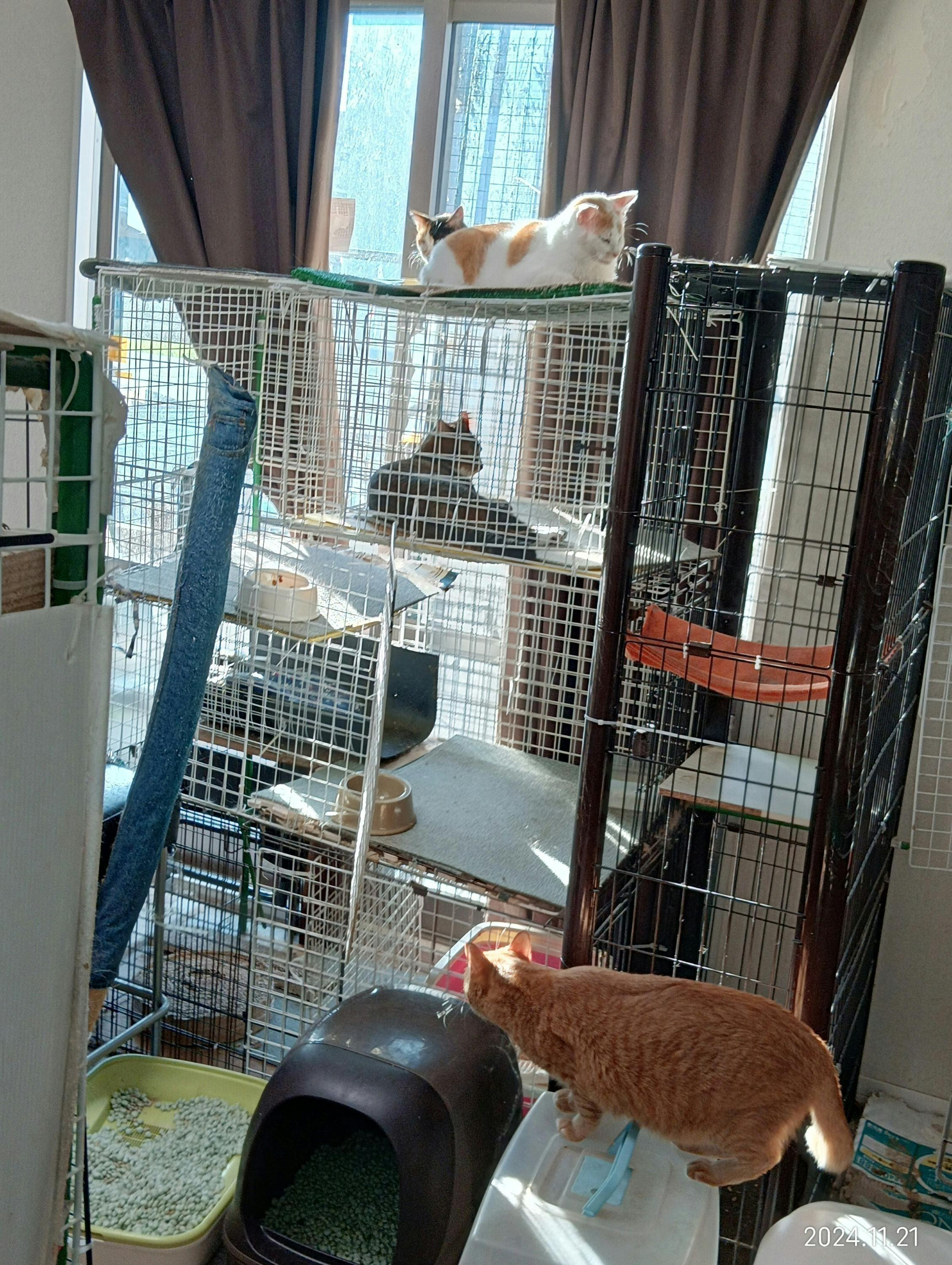 3番目のメイン画像