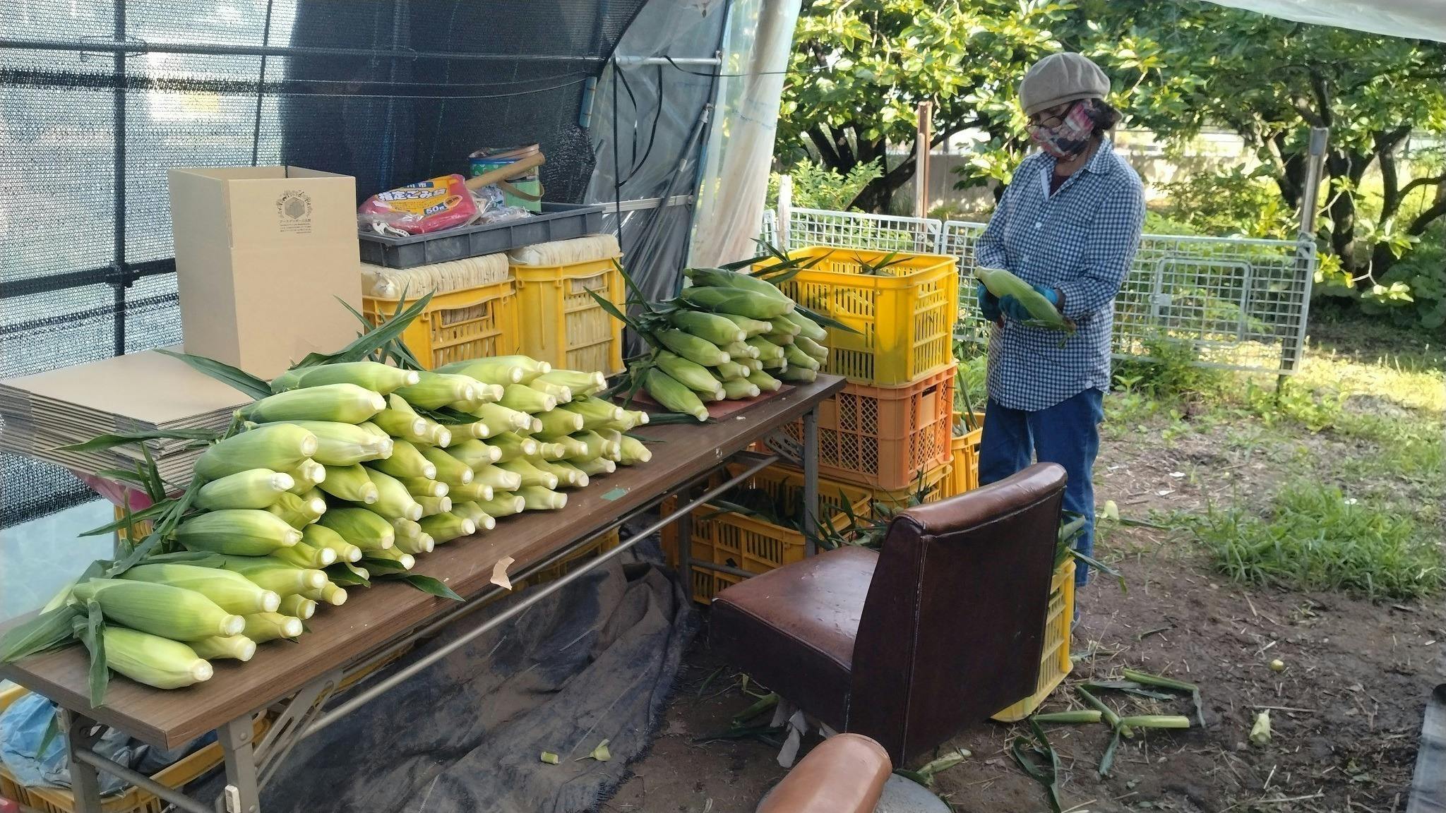 4番目のメイン画像