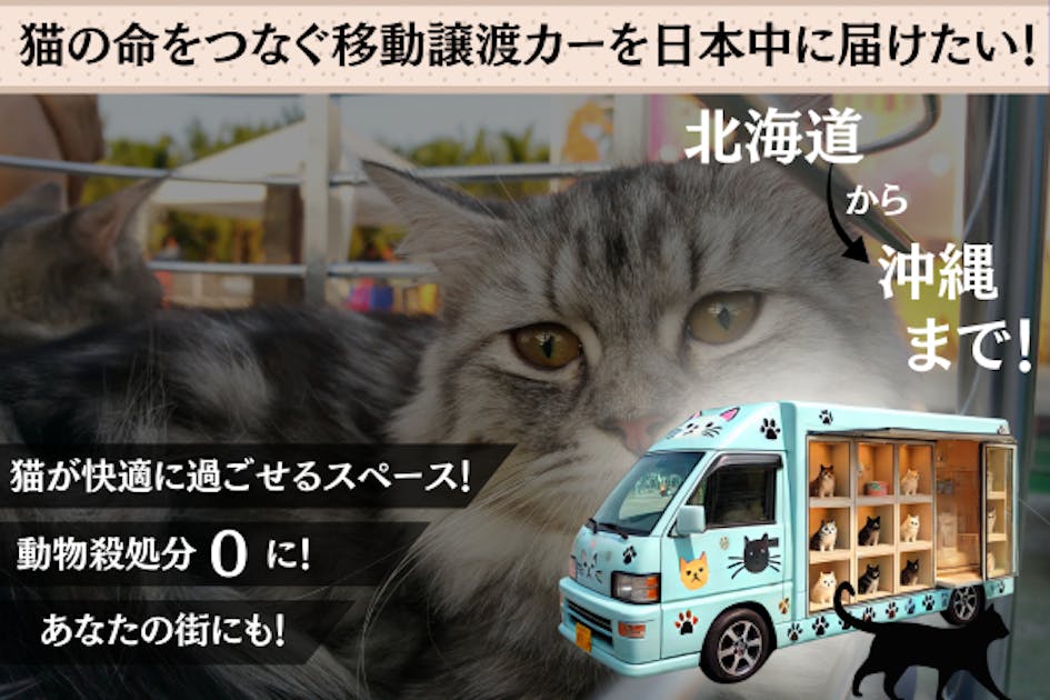 ねこ◎トラブル防止の為プロフ必読ページです。 13010-01-m-01-pl.jpg