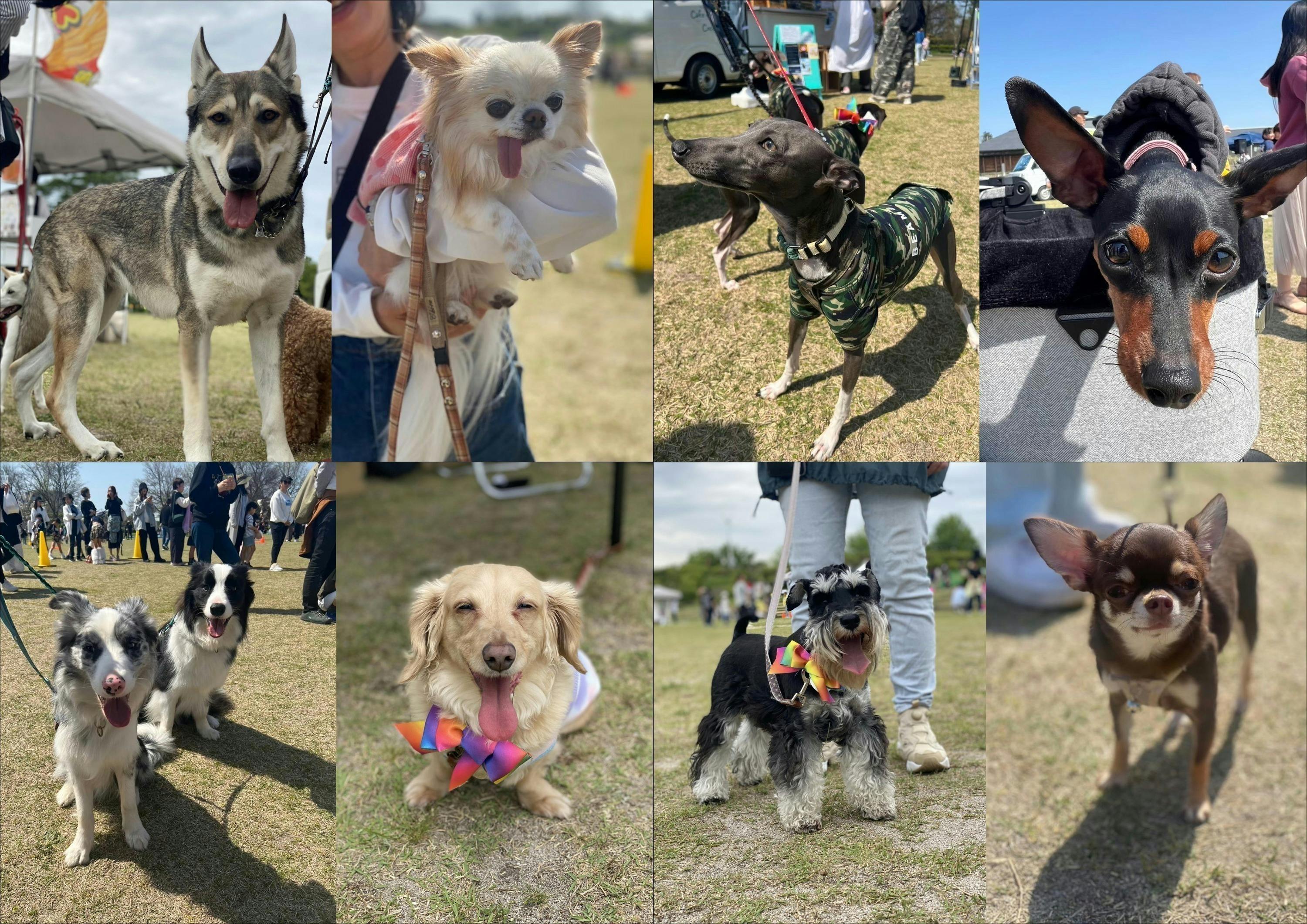 4番目のメイン画像