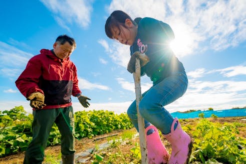 1番目のメイン画像