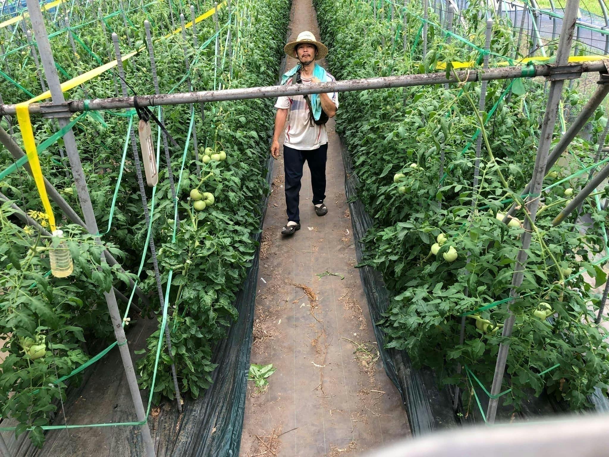 4番目のメイン画像