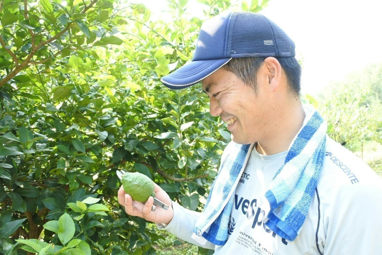 4番目のメイン画像