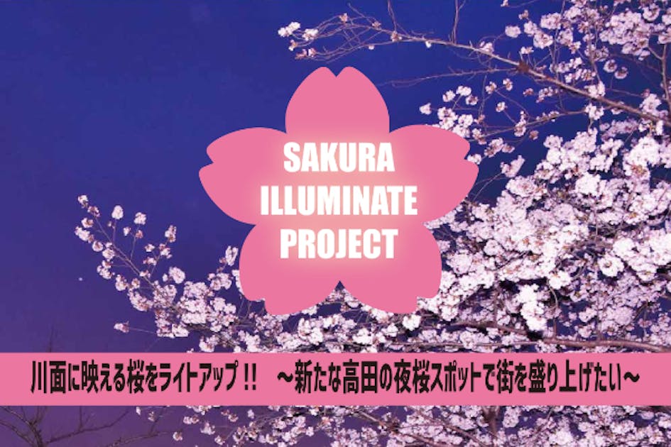 川面に映える桜をライトアップ!! ～新たな高田の夜桜スポットで街を