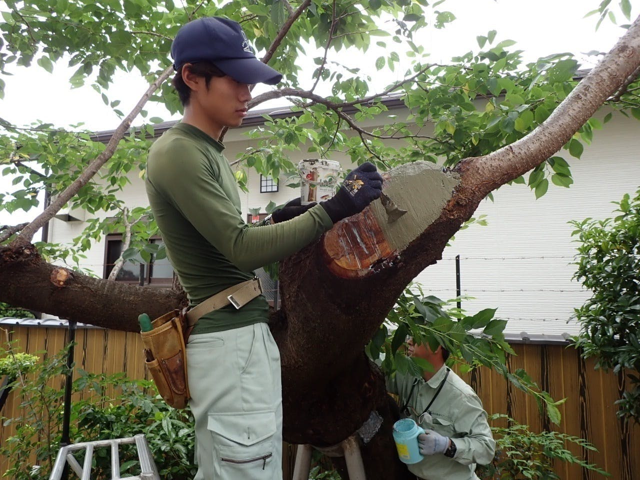 2番目のメイン画像