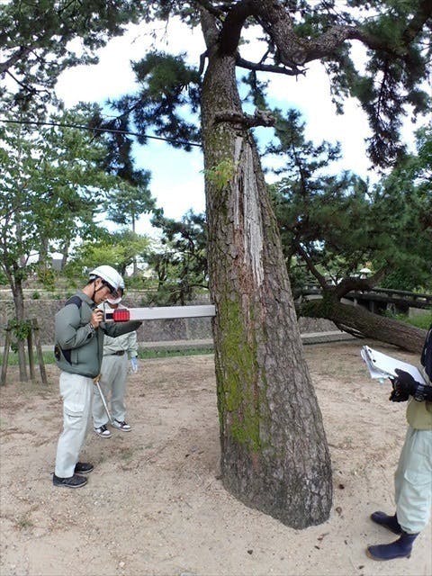 4番目のメイン画像