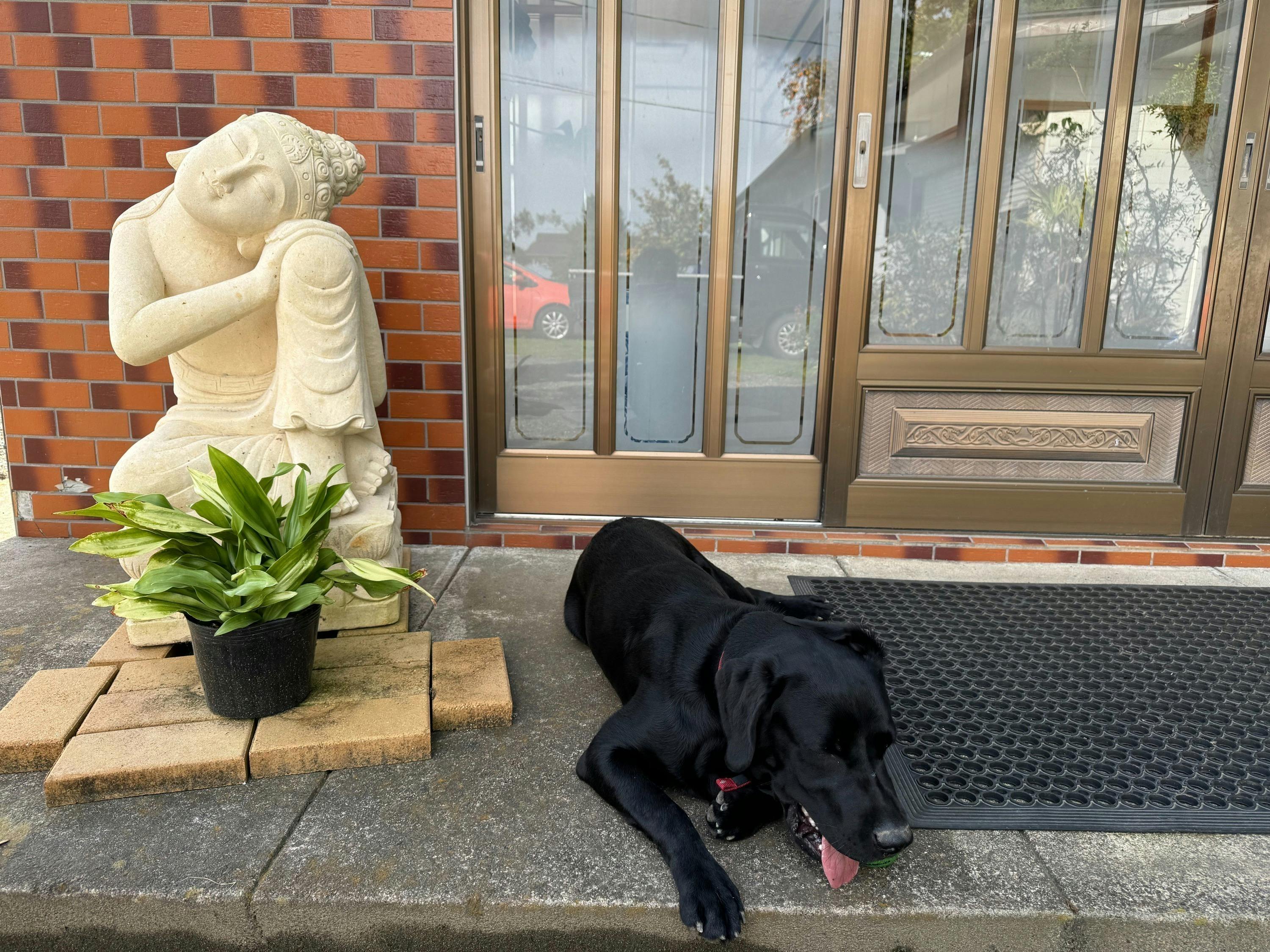 3番目のメイン画像