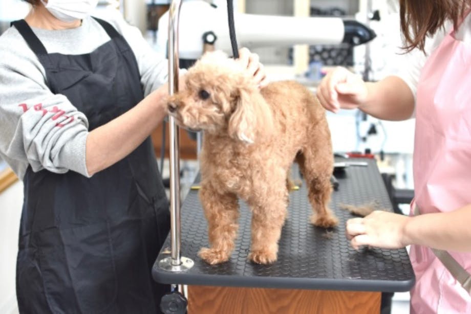 1番目のメイン画像