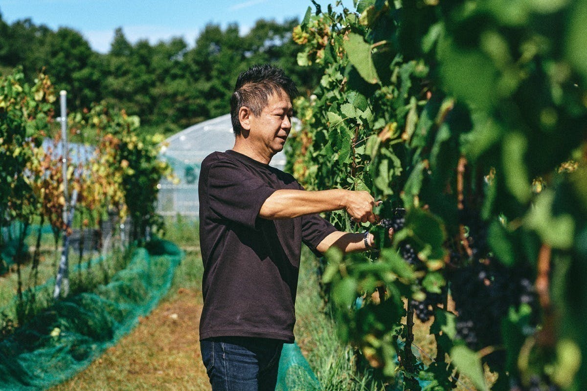 3番目のメイン画像