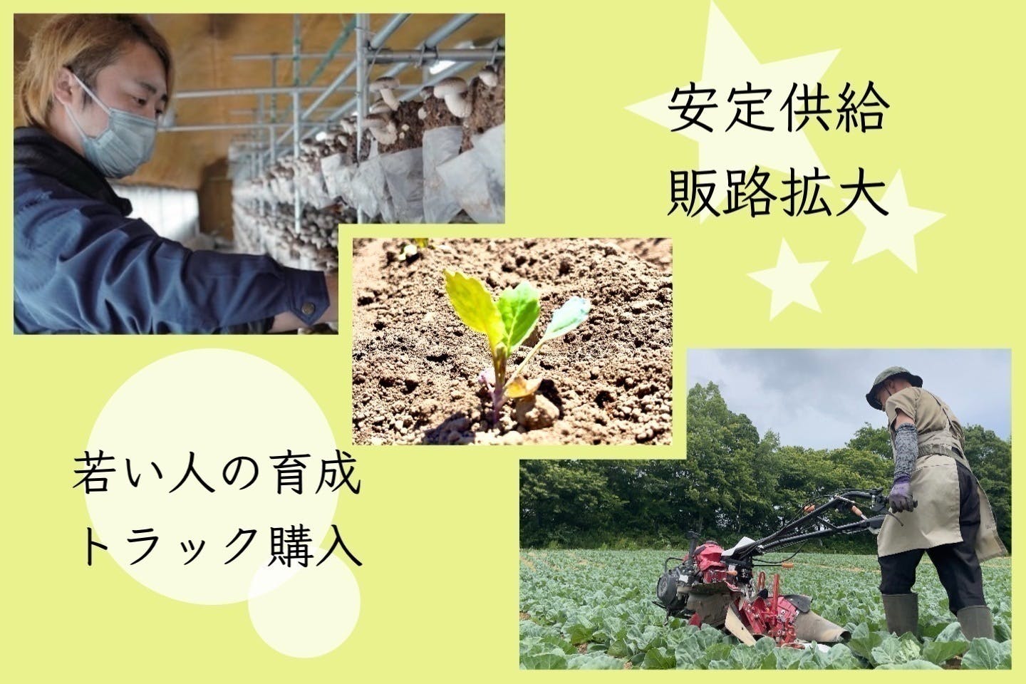 3番目のメイン画像