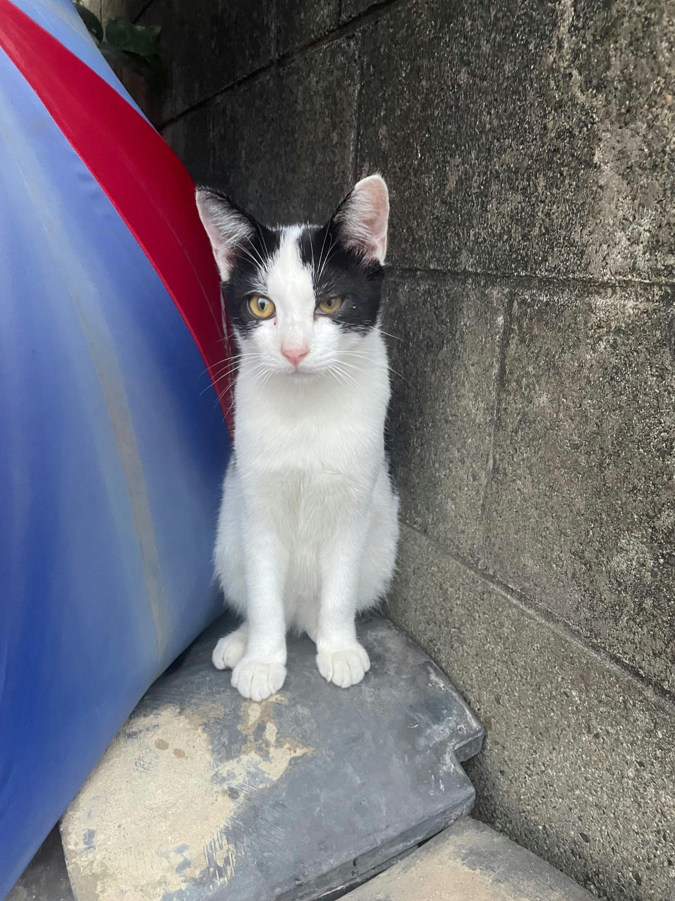 5番目のメイン画像