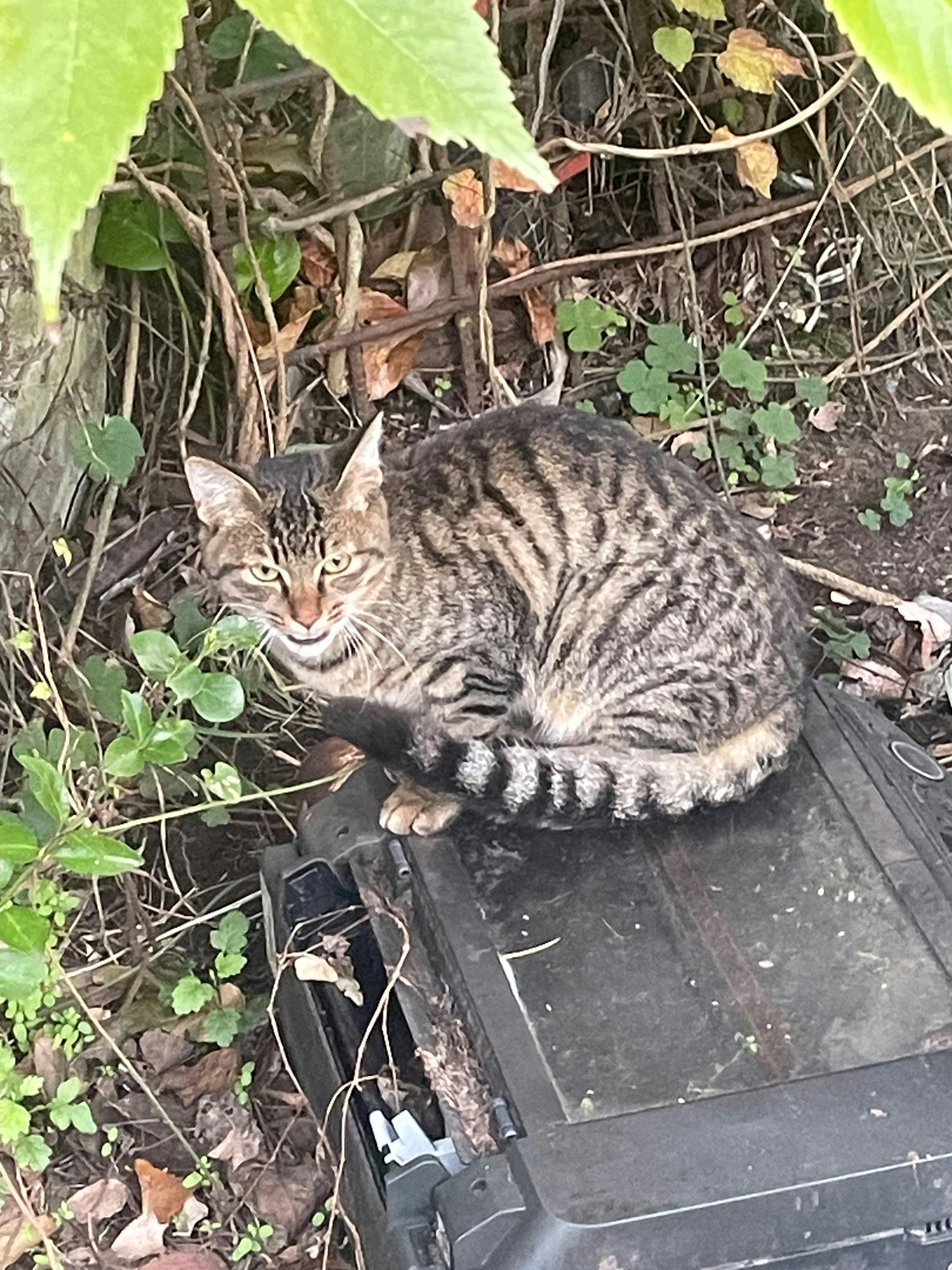 4番目のメイン画像