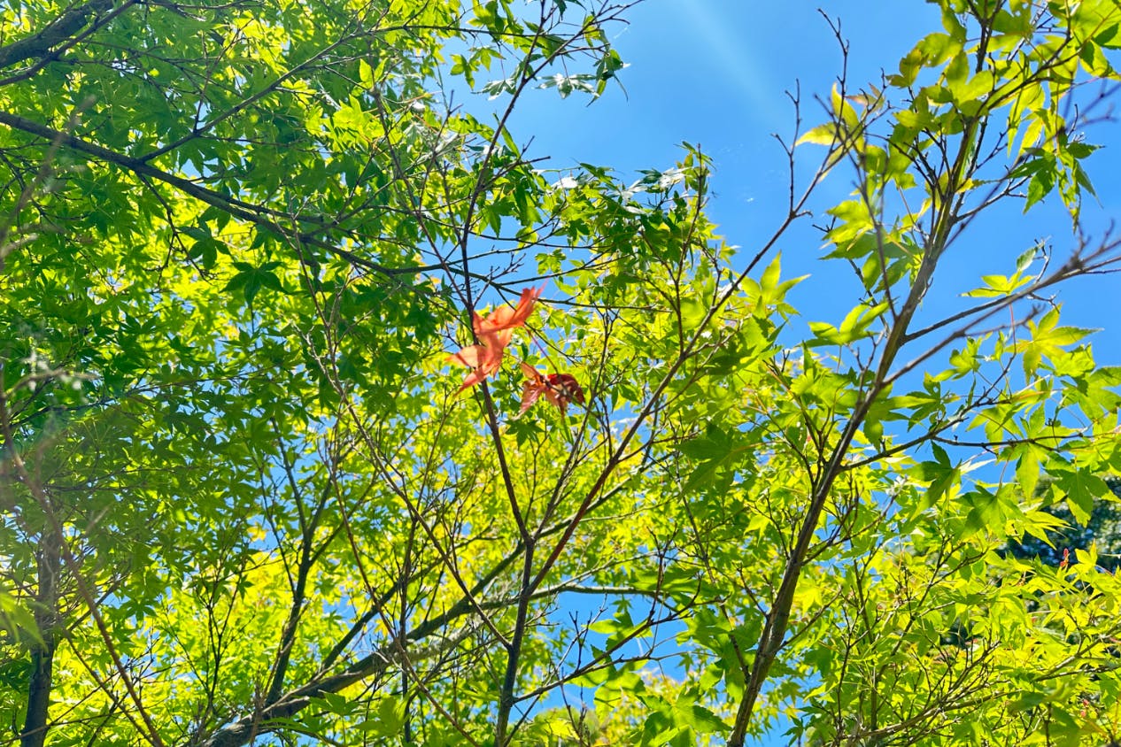 1番目のメイン画像