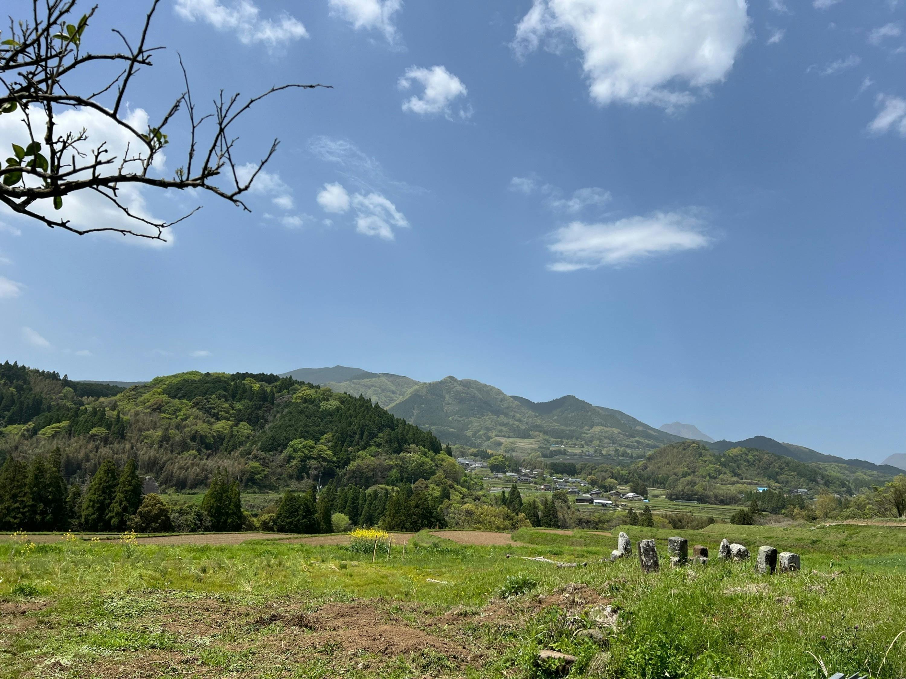 3番目のメイン画像