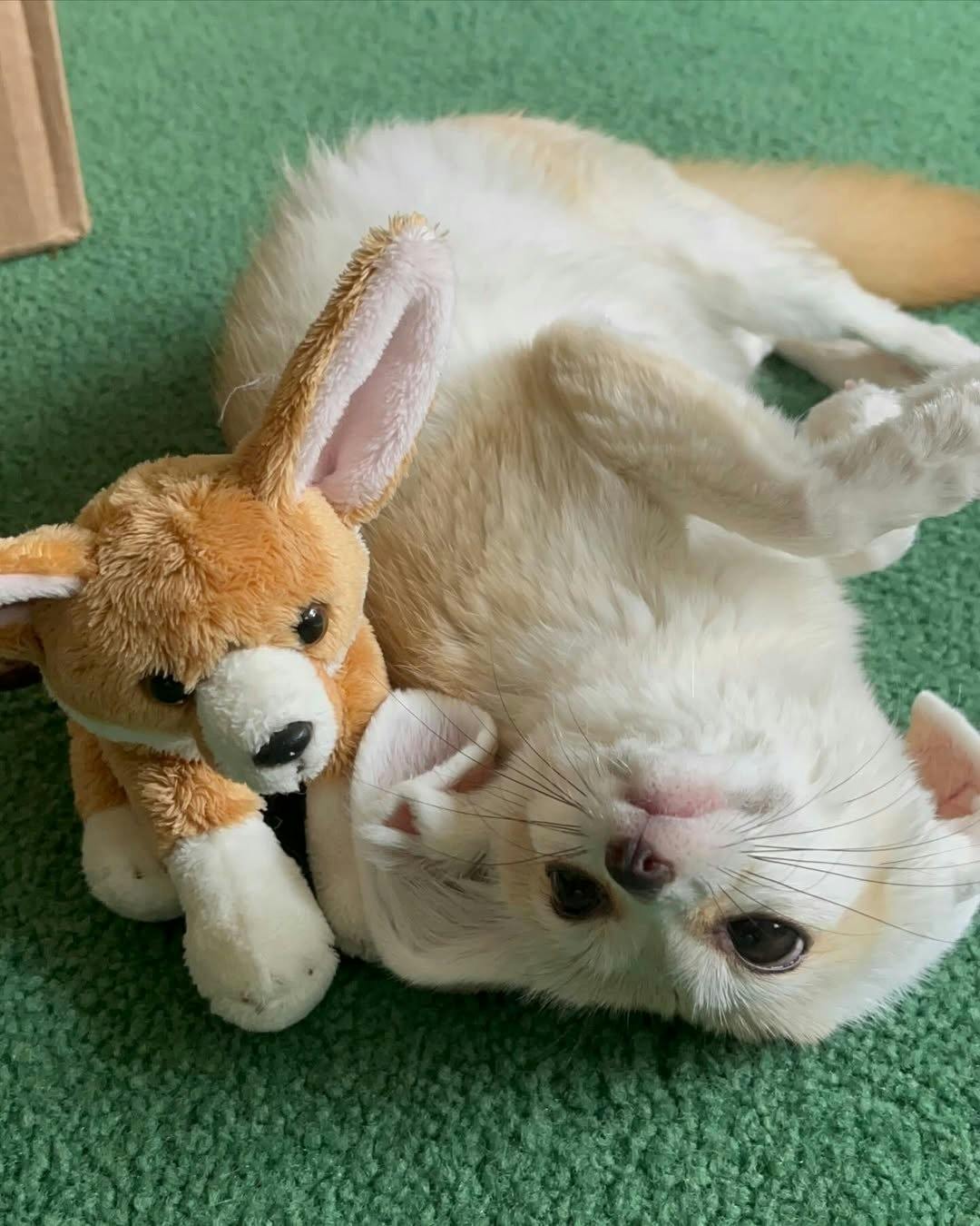 4番目のメイン画像