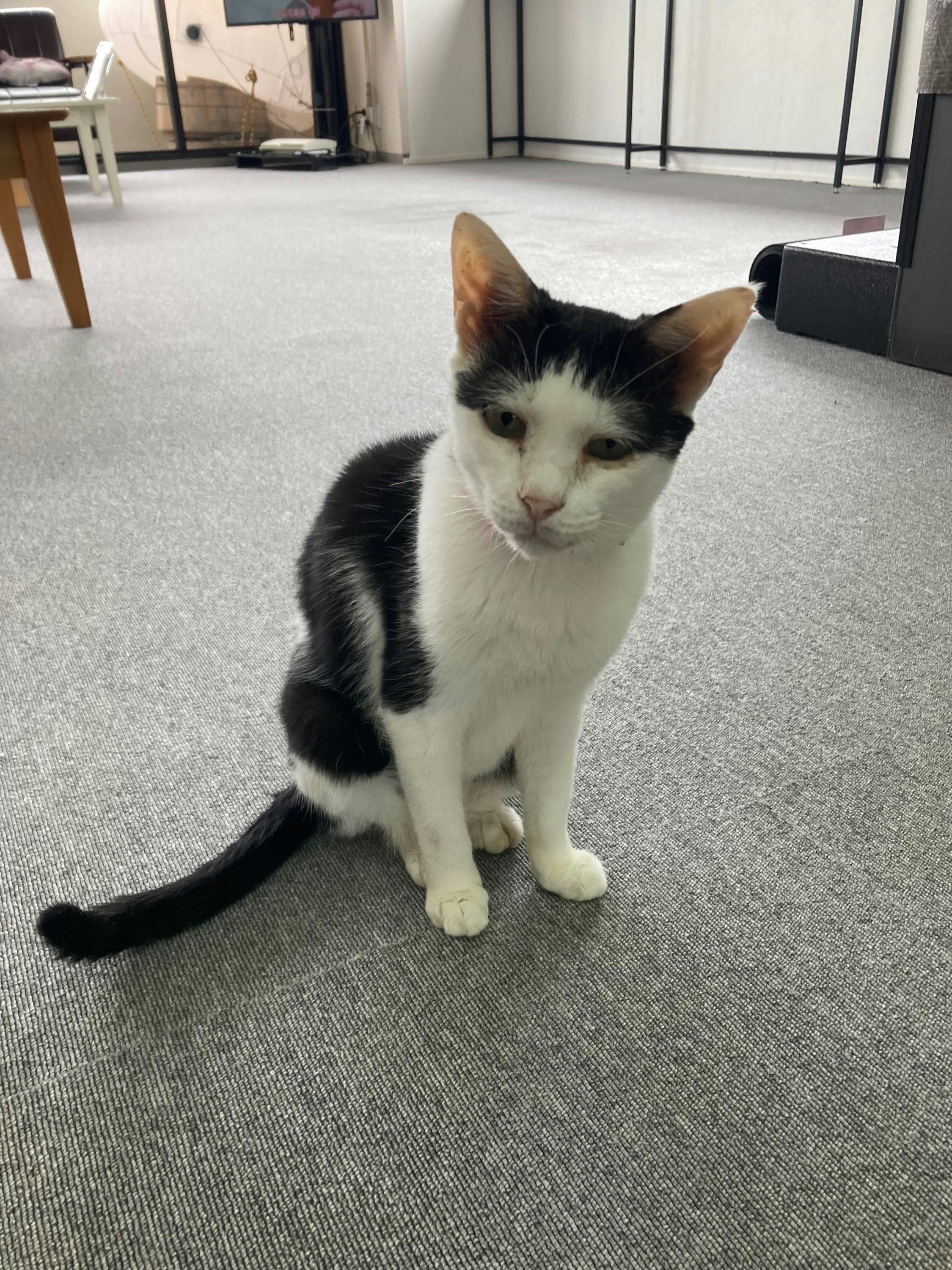 5番目のメイン画像