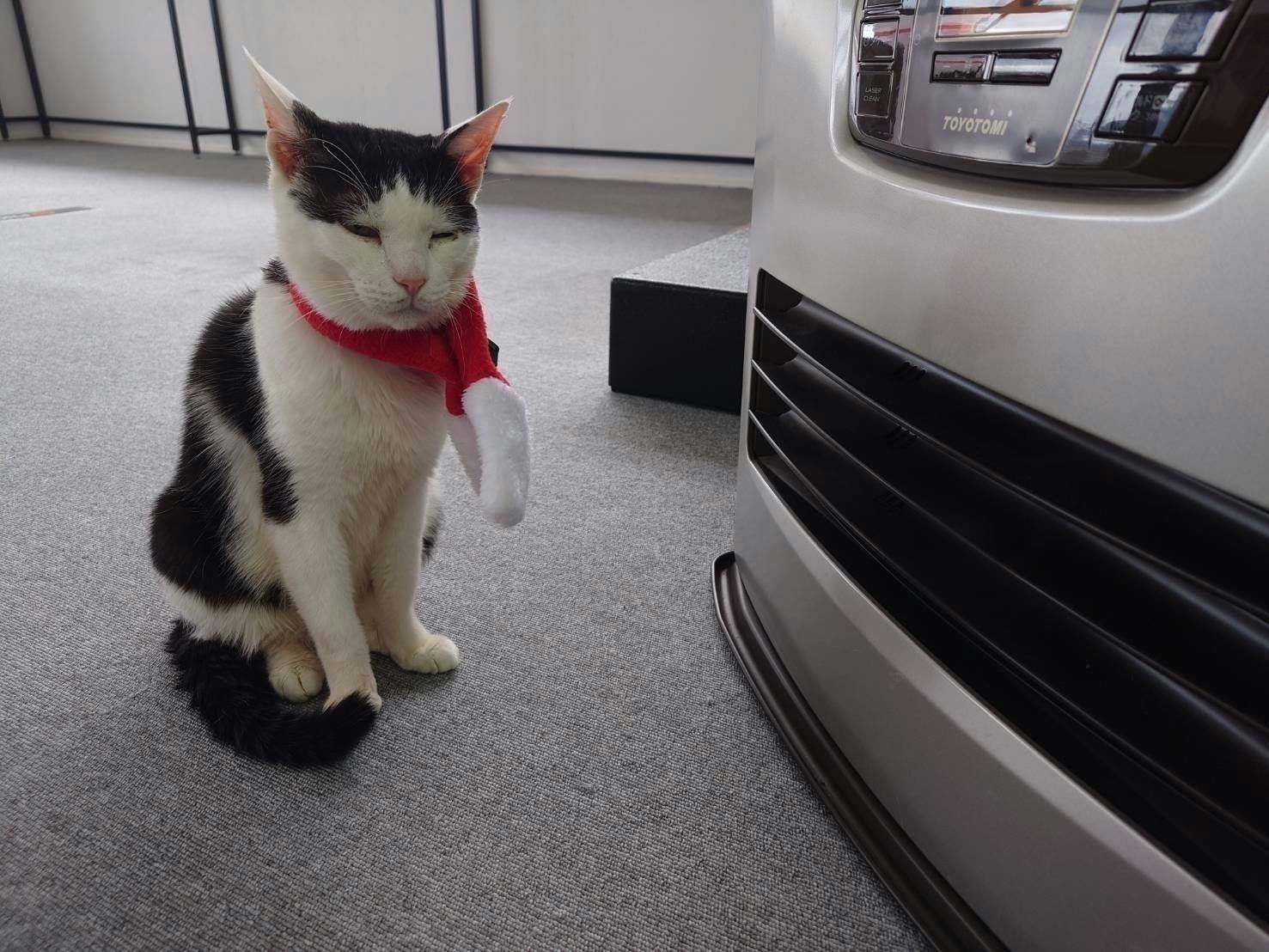 2番目のメイン画像