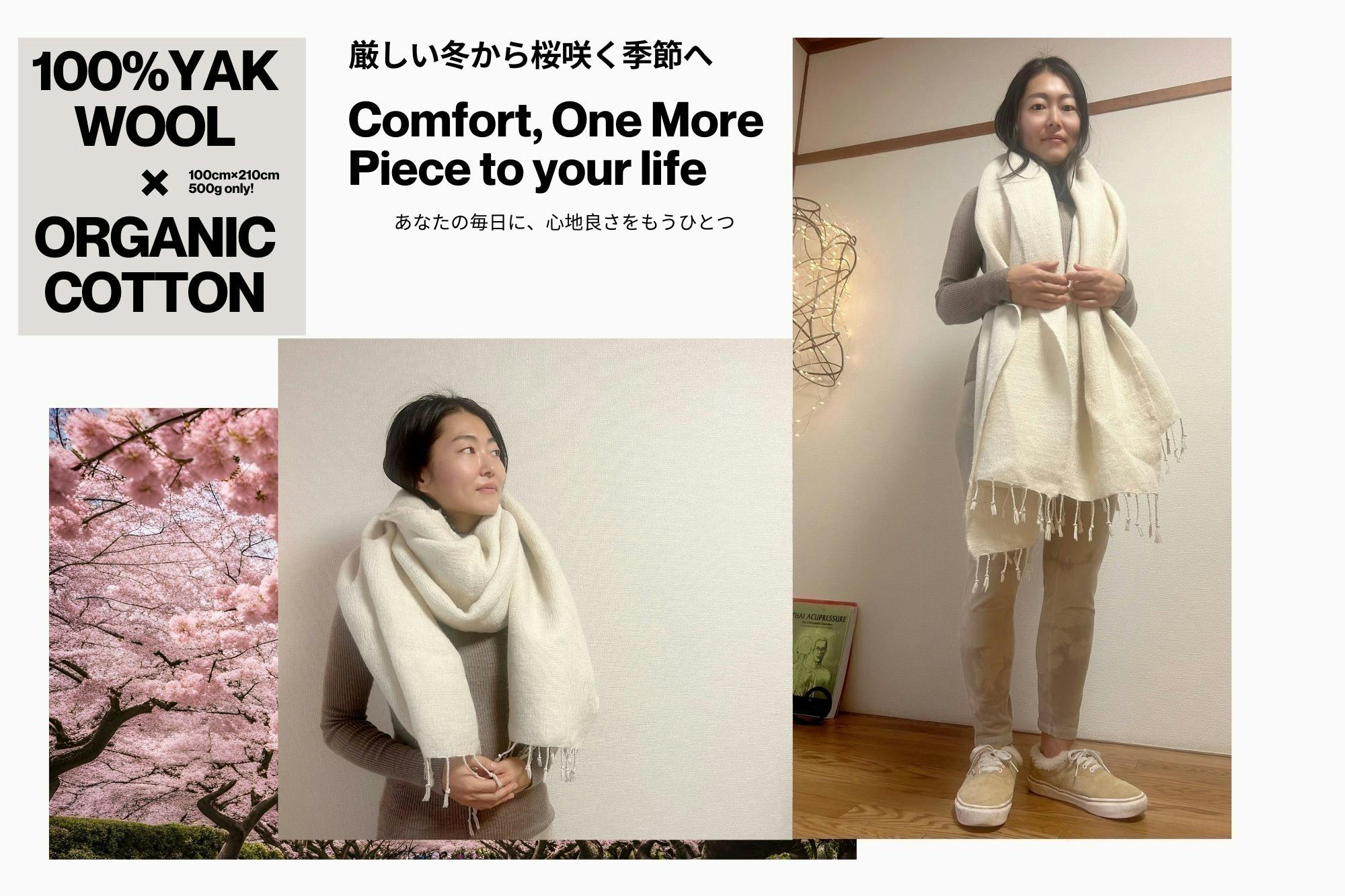 春を纏う！愛と祈りの「ヤク100%×オーガニック綿ストール」カシミヤ