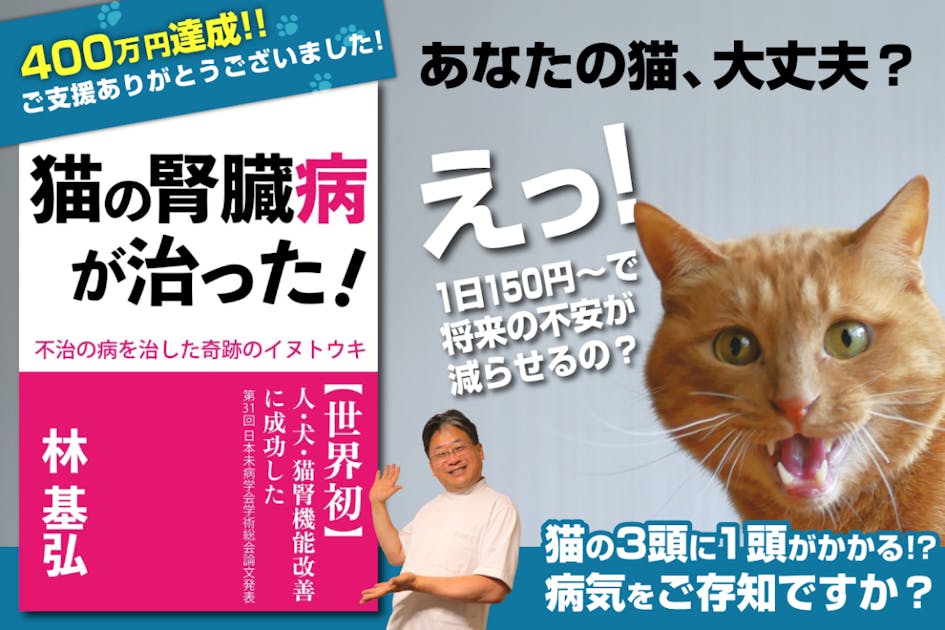 楽天市場】5歳からのケア 『JINパワー100』 イヌトウキ 犬 猫