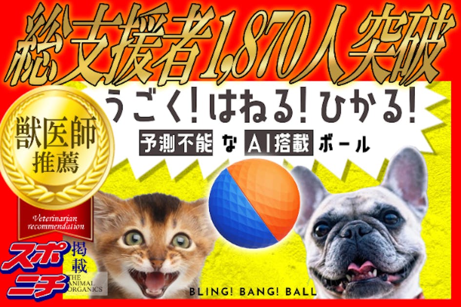 BLING! BANG! BALL ブリンバンボール 犬 猫 AIガジェット 運動不足ストレス解消！おもしろ動作・視認性高めた犬猫ペット用AI