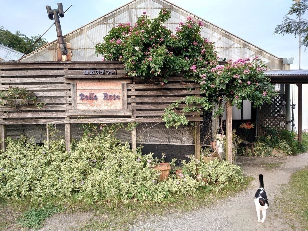 3番目のメイン画像