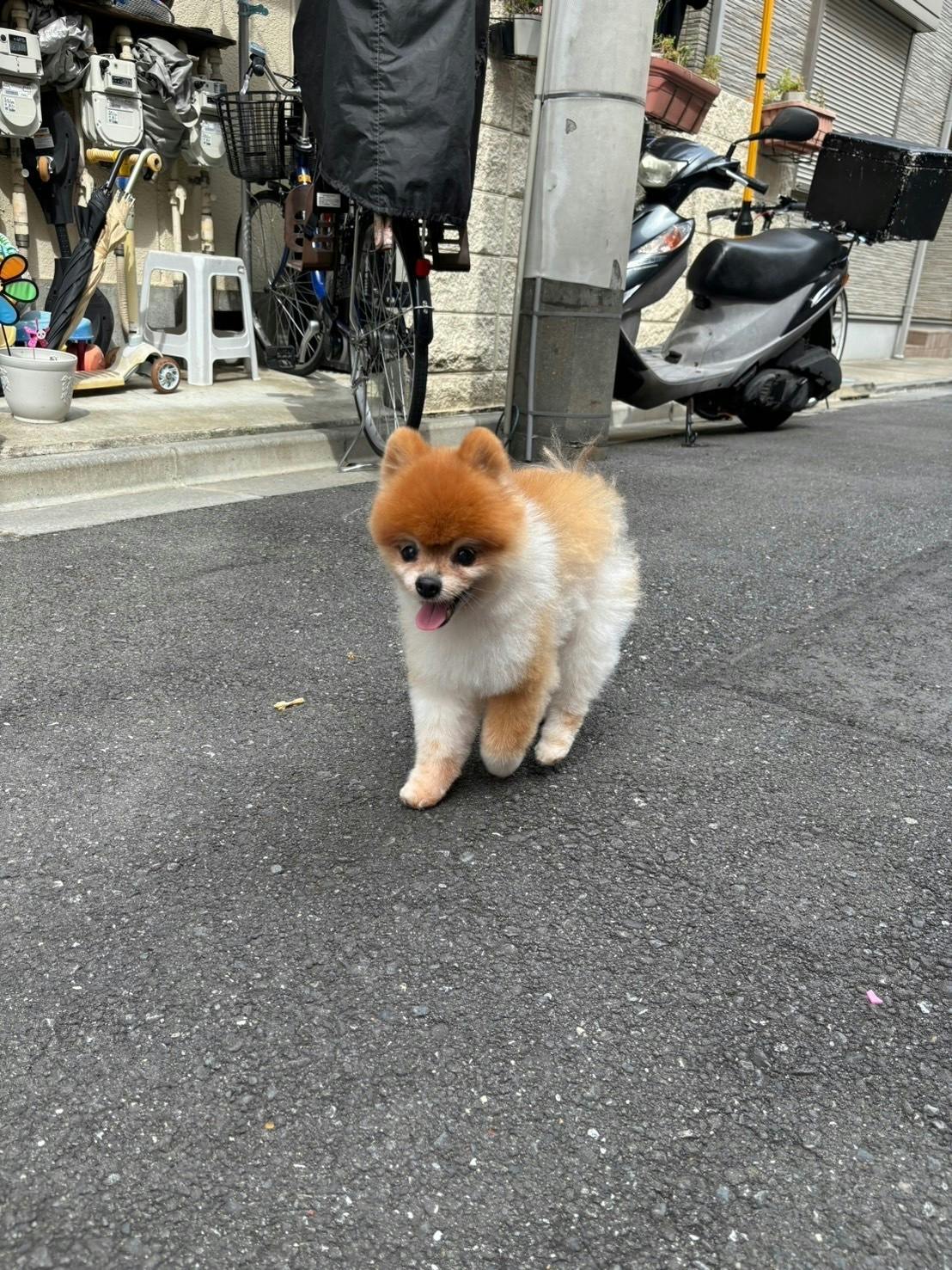 3番目のメイン画像