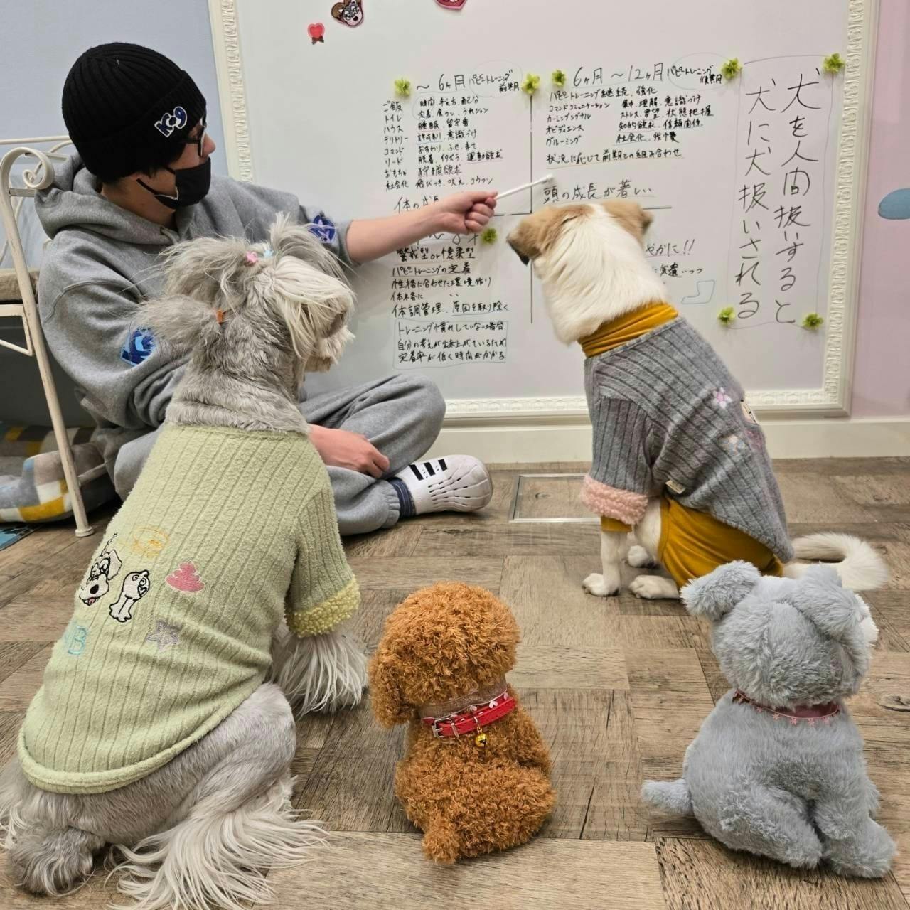 4番目のメイン画像