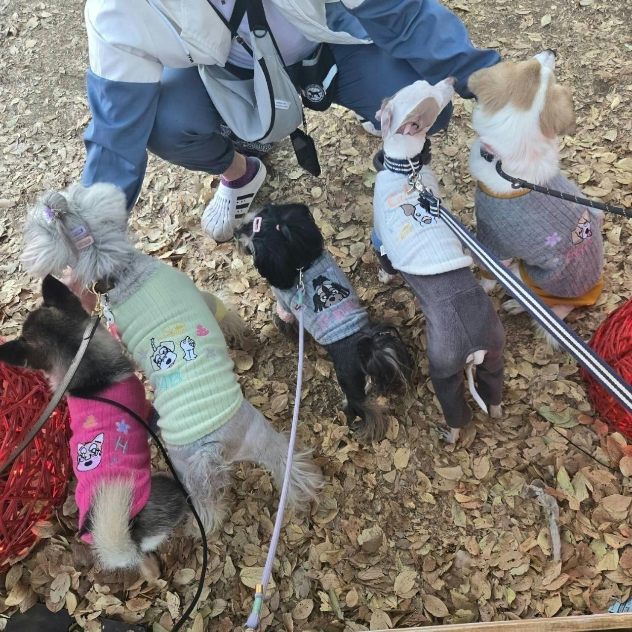 5番目のメイン画像