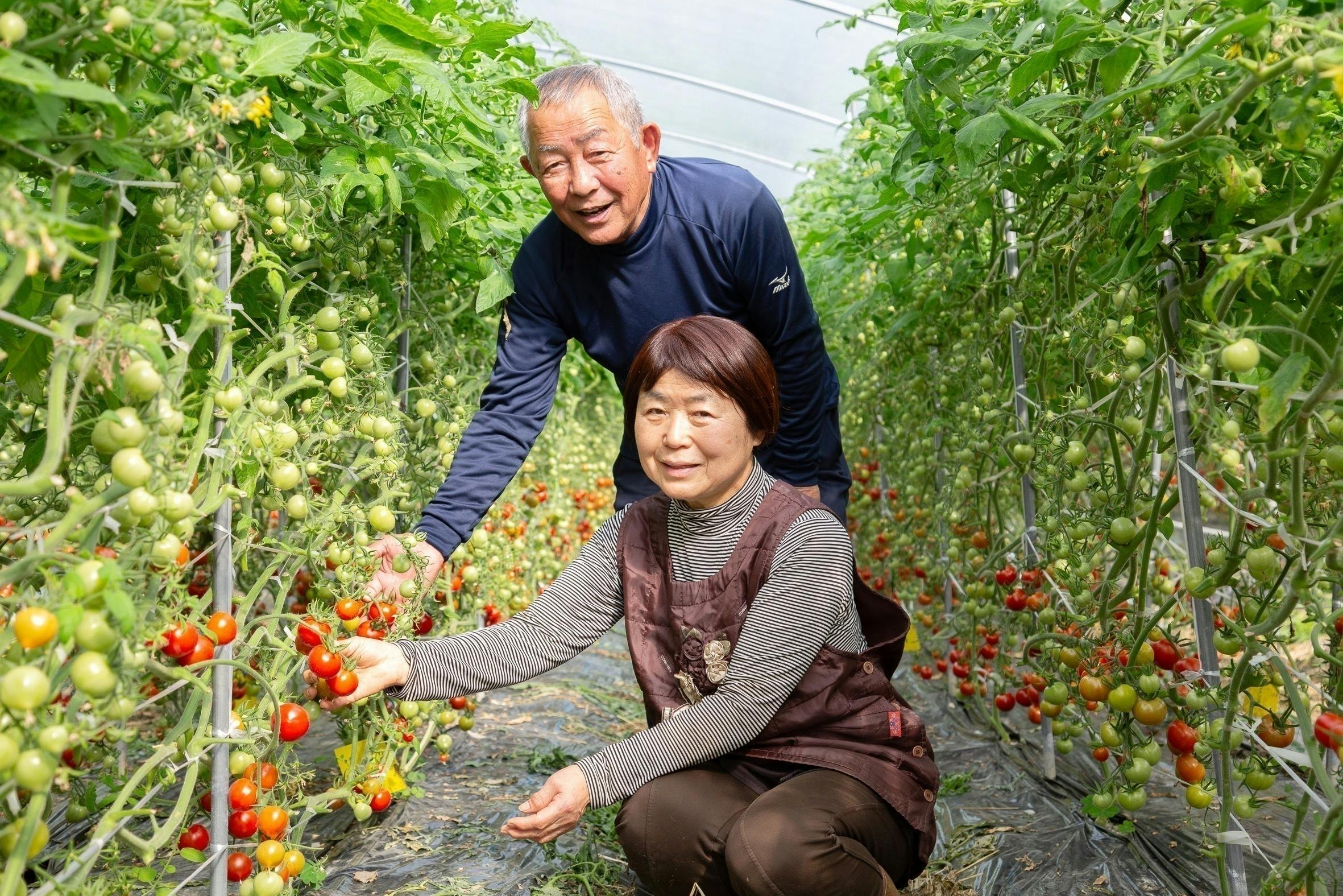 3番目のメイン画像