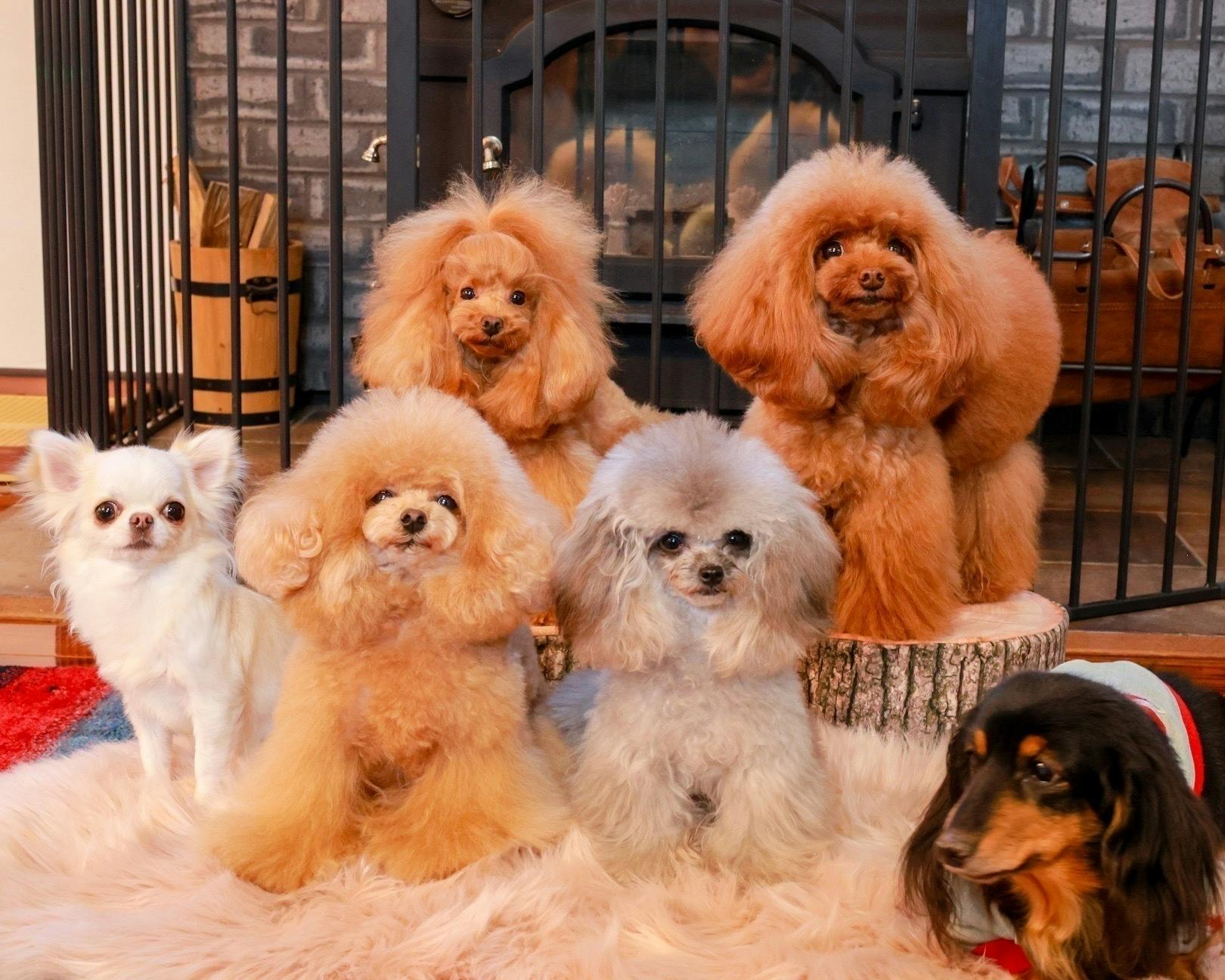 5番目のメイン画像