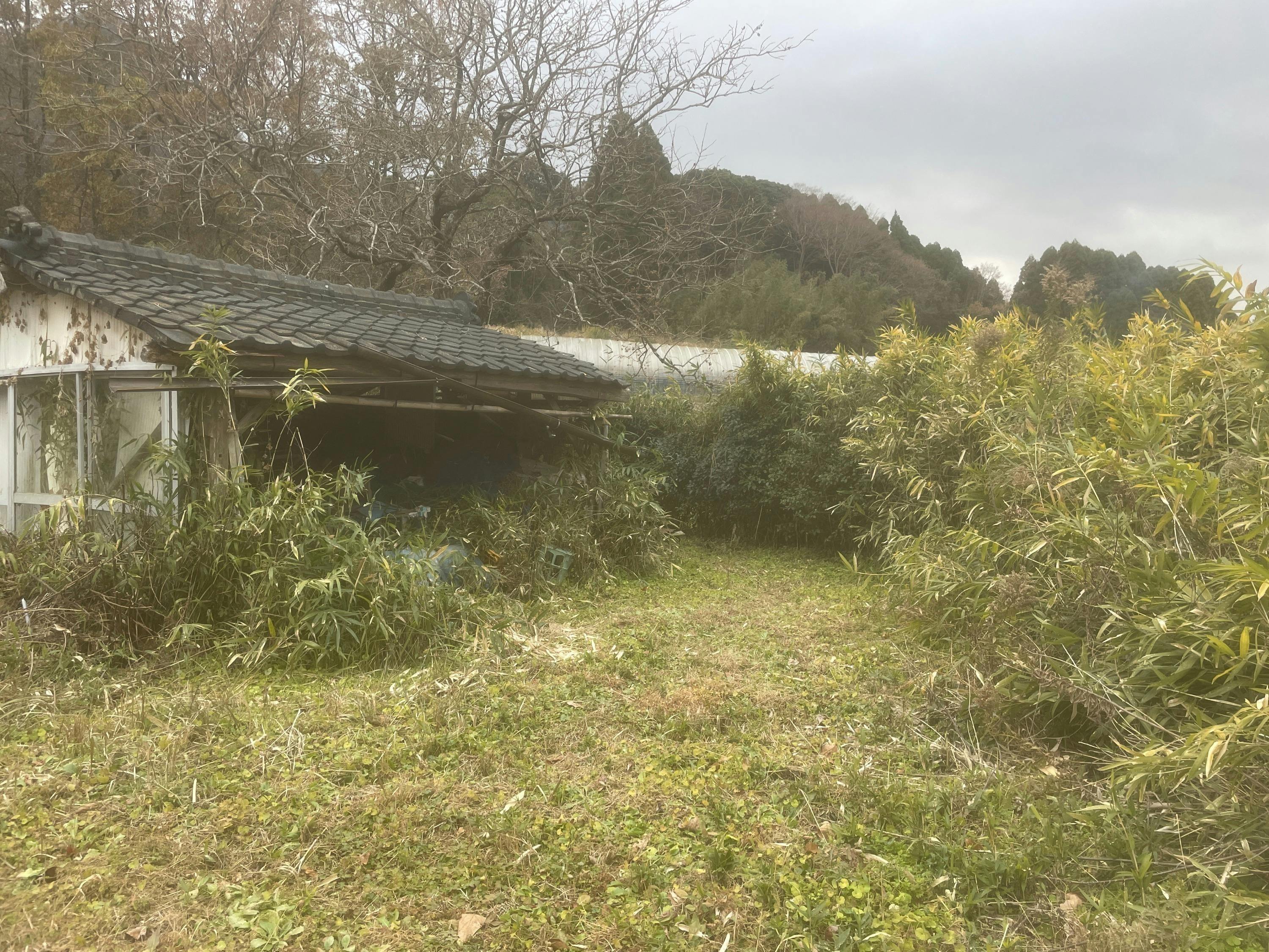 3番目のメイン画像