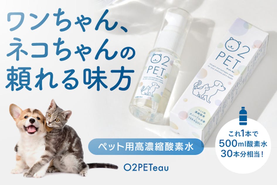 1a6cc5d4-7863-40cf-995e-