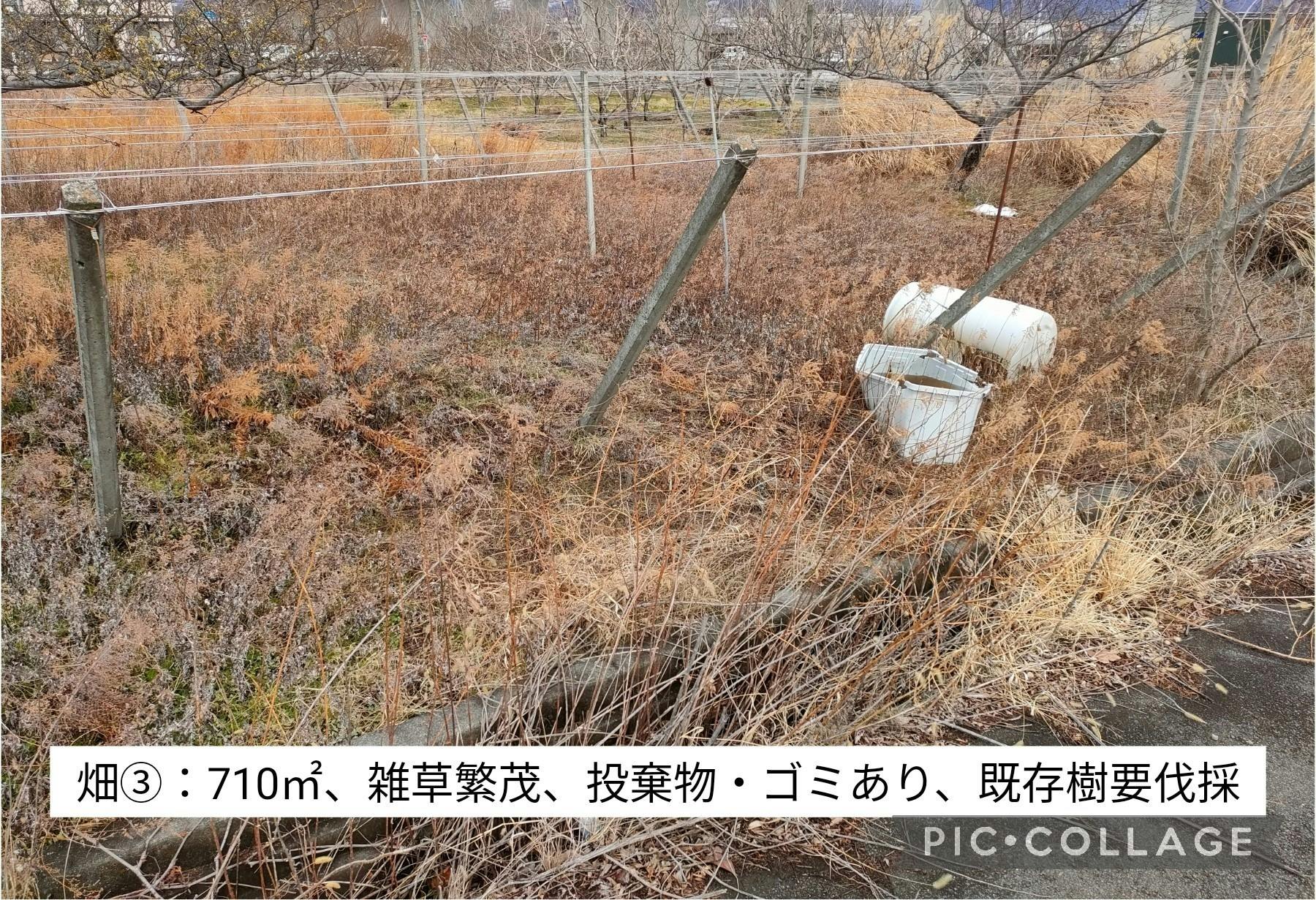 3番目のメイン画像