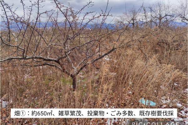 1番目のメイン画像