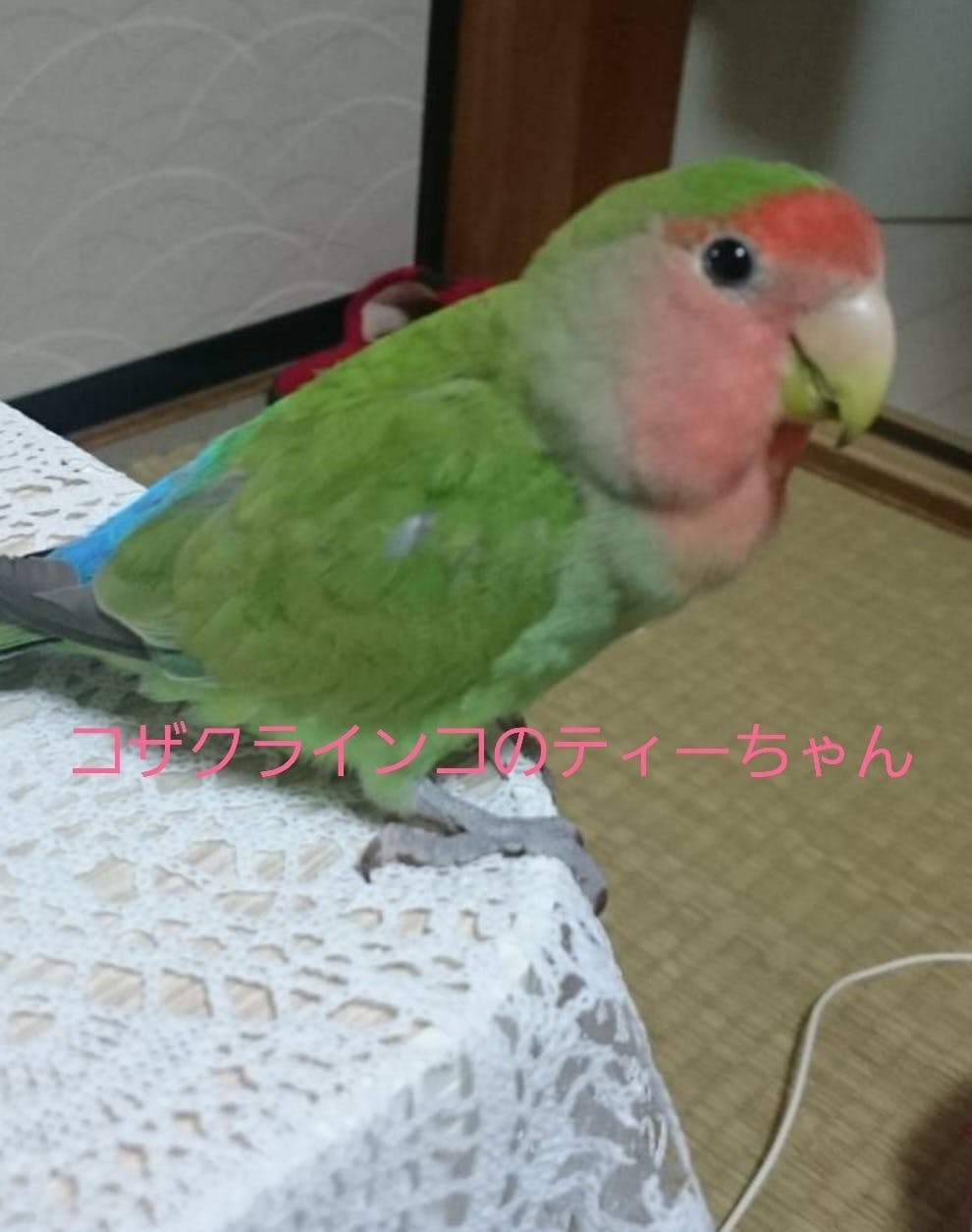 3番目のメイン画像